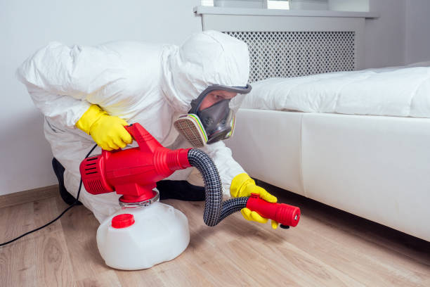 Best Bed Bug Extermination  in Walnut Cove, NC